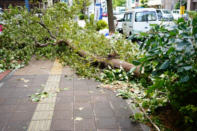 台風による影響（画像はイメージです）